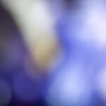 2014115期双色球开奖号码及结果查询 244u19x607