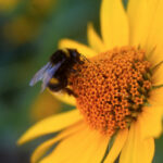 3D开奖直播:今日最新开奖结果视频全程回放 uqo1ry4f77